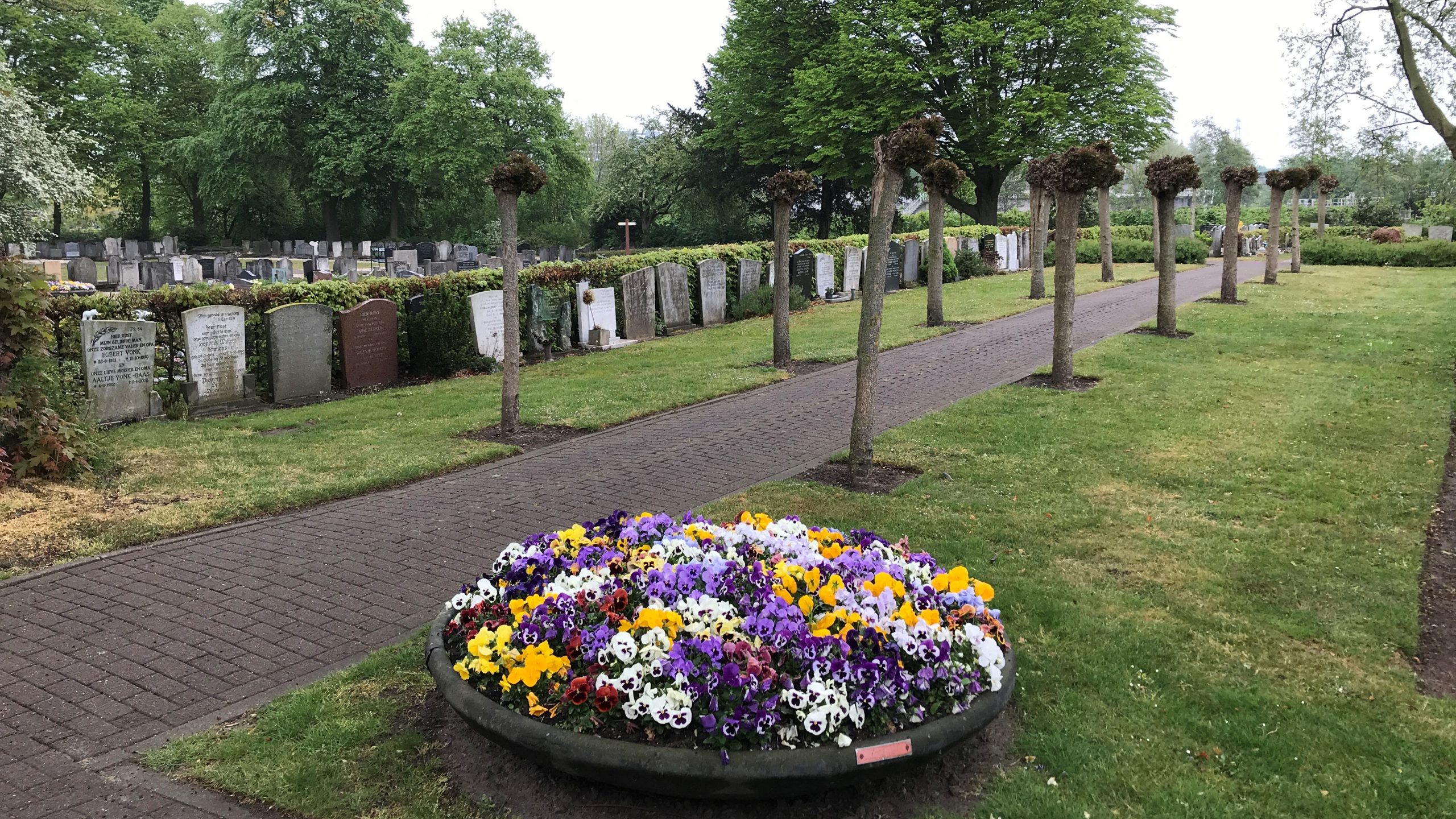 Begraafplaats-bb
