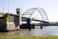 ID003474.jpg