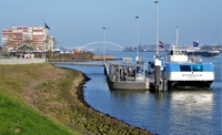ID004413.jpg
