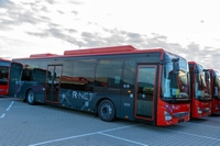 ID005905.jpg