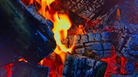 ID005981.jpg