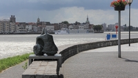 ID005835.jpg