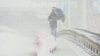 ID006037.jpg
