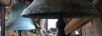 ID005359.jpg