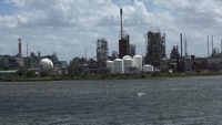 ID006016.jpg