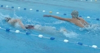 ID006237.jpg