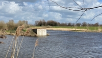 ID006242.jpg