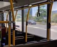 ID006435.jpg