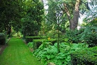 ID006548.jpg