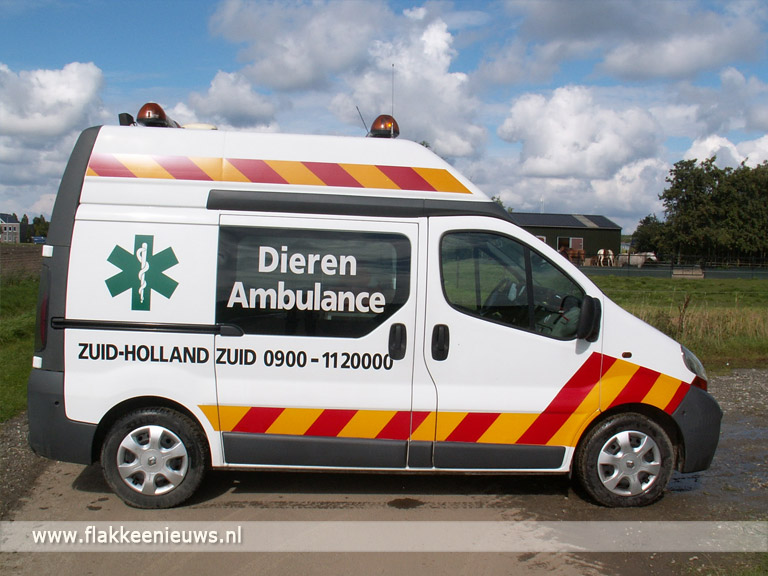 Kat zit vast in motorblok auto