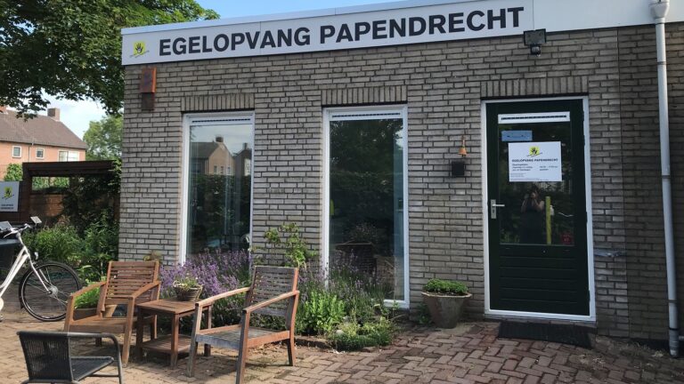 Egelopvang zit helemaal vol