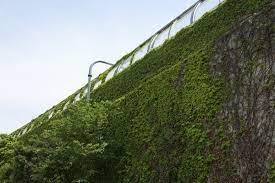 Groene geluidschermen