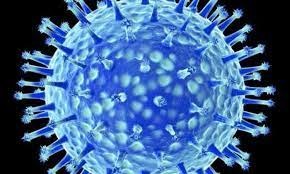 Vogelgriepvirus