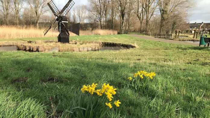 lente2
