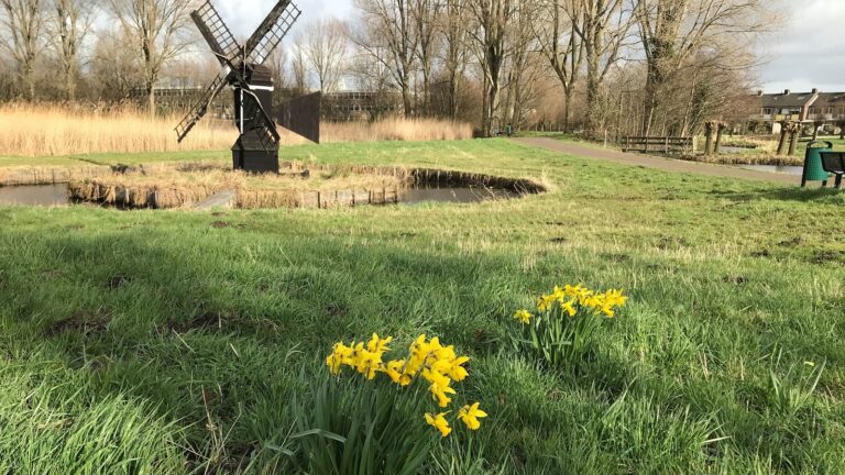 Eerste tekenen van de lente