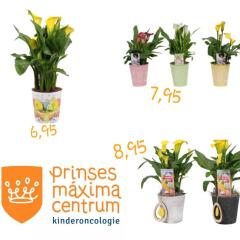 planten