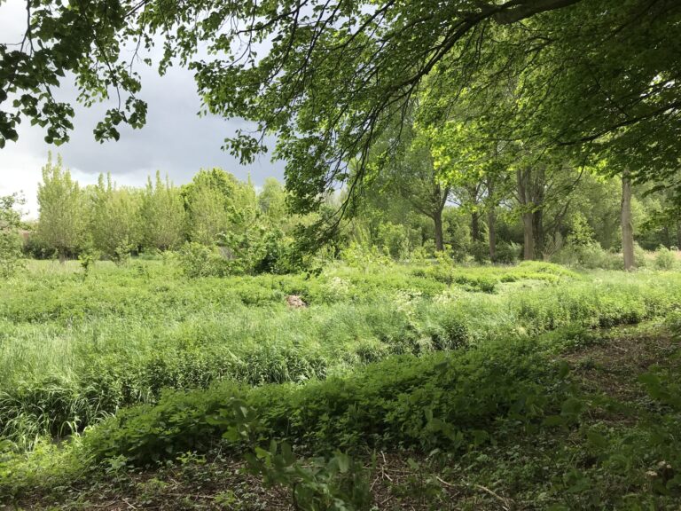 Openstelling TuinenBos op zaterdag 9 april
