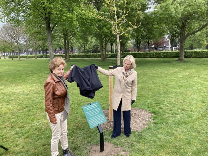 boom van troost onthhulling