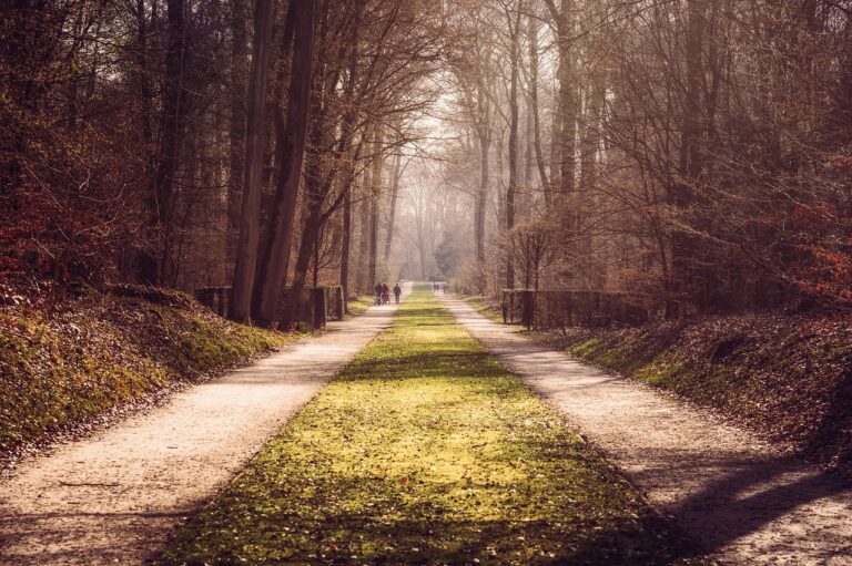 Op zoek naar leuke wandelbroeken voor dames?