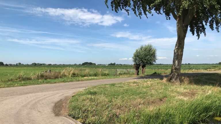 Eerste Nederlandse boeren in Alblasserwaard verkopen CO2-credits