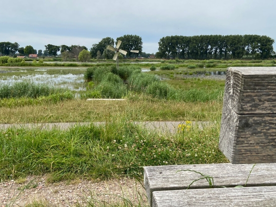 Dodrecht