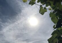 Geen biertje of spa blauw, maar fris: zo voorkom je problemen