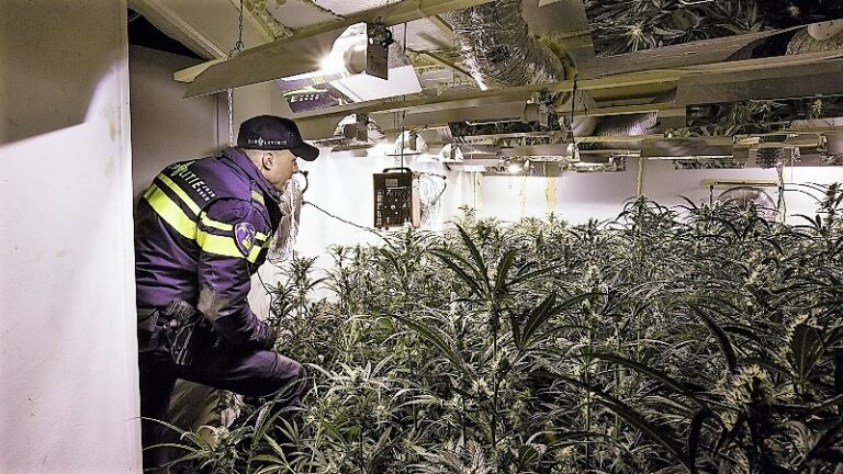 Burgemeester sluit drugspand in Hardinxveld