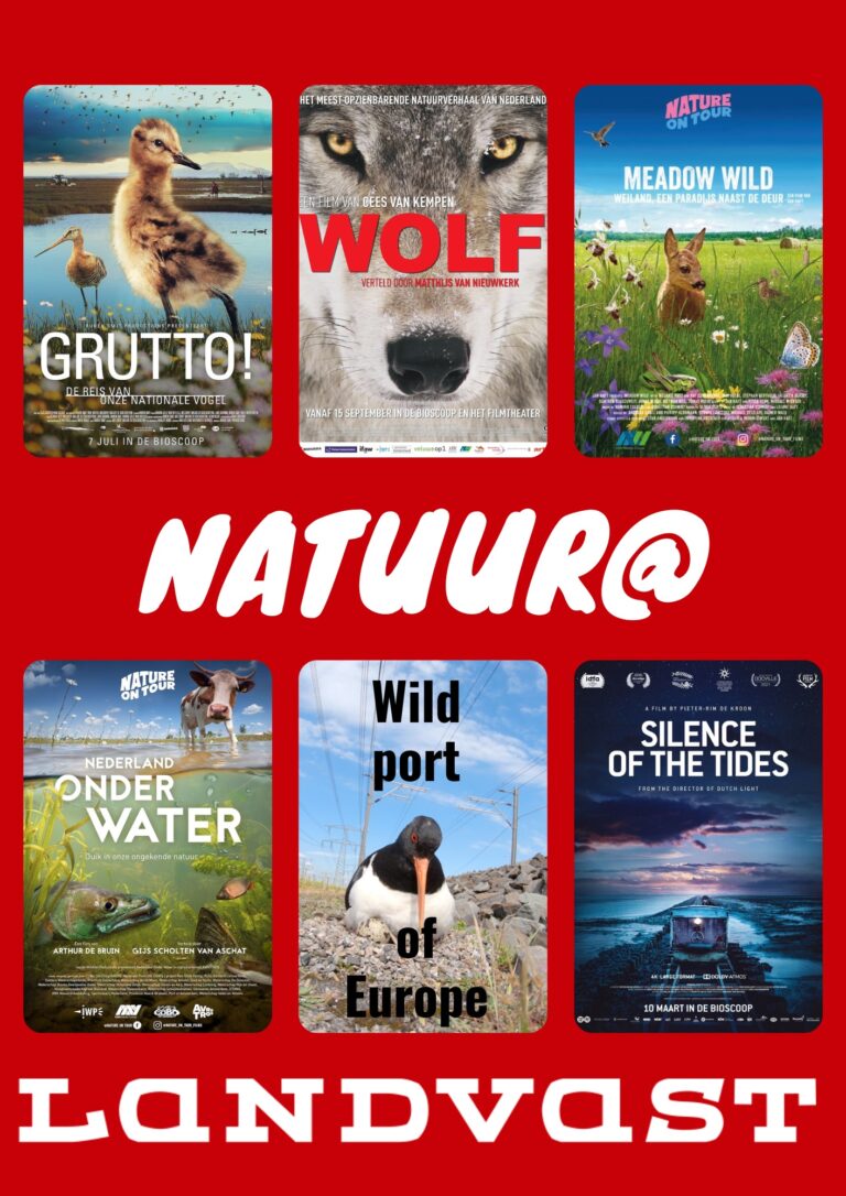 De mooiste natuurdocumentaires op groot scherm