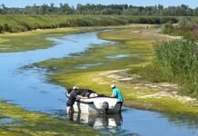 ‘Lage waterstand in Biesbosch kan geen kwaad’, wel even oppassen