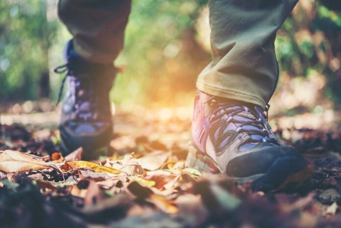 Wandeltrainer-review