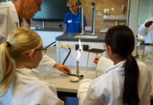 Groep 8-leerlingen proeven sfeer tijdens DLW experience