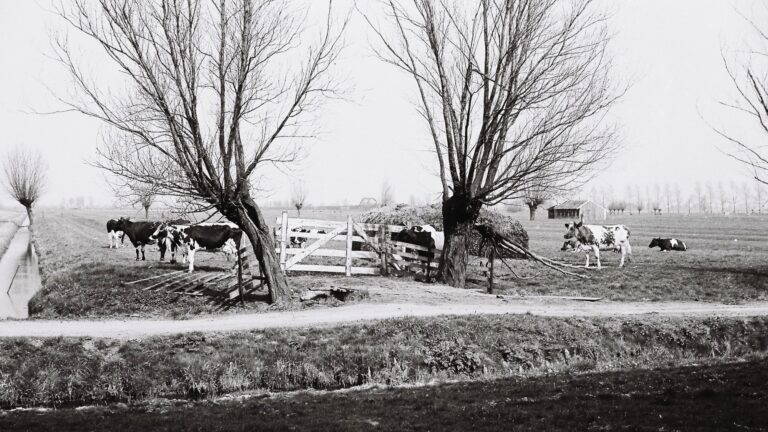 Dorpsbehoud organiseert ‘Burgers, boeren en buitenlui’