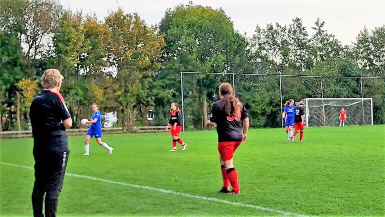 Papendrecht VR1 verliest bij Zuidland