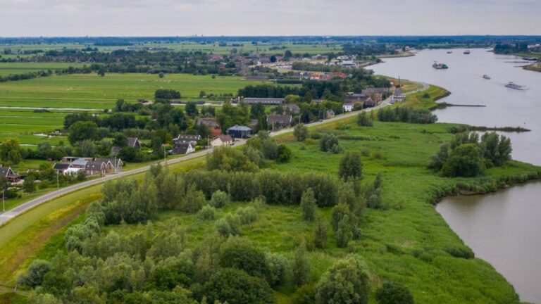 Bevers blijven grootste risico voor dijken rivierengebied