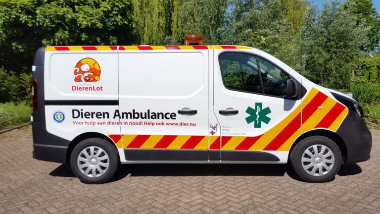 Dierenambulance belandt in sloot in Nieuw-Lekkerland