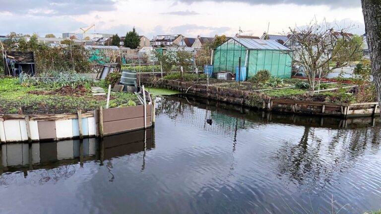 RIVM: slootwater in Papendrecht niet te vaak gebruiken in moestuinen