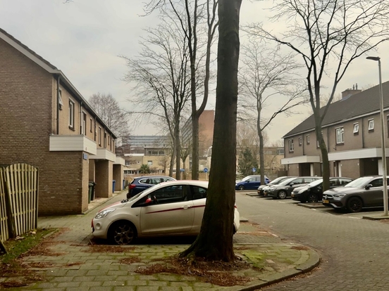Straat in Ommoord rijnmond