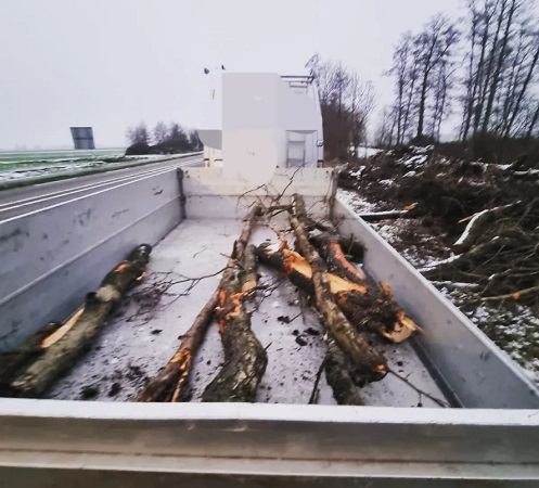hout