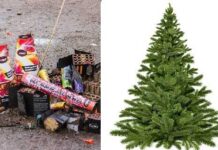 Verdien een zakcentje door kerstbomen en vuurwerkafval in te leveren