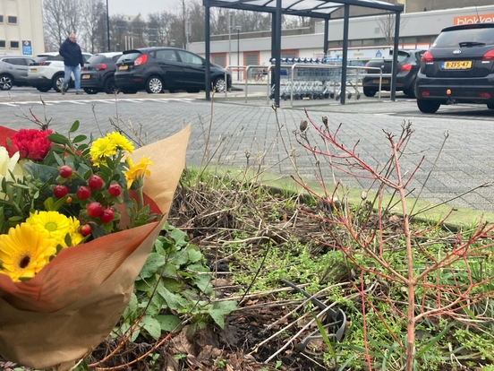 walburg bloemen