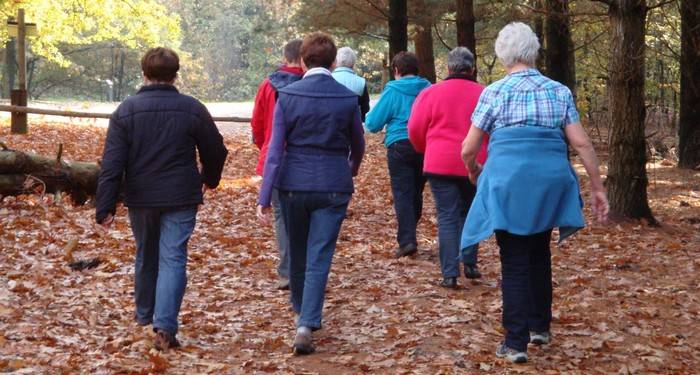 Vanaf 6 maart wekelijks een wandelgroep in Molenvliet