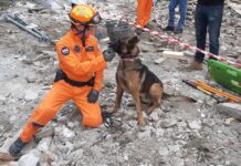 Veiligheidsregio Zuid-Holland-Zuid stuurt tien reddingswerkers naar getroffen gebied in Turkije