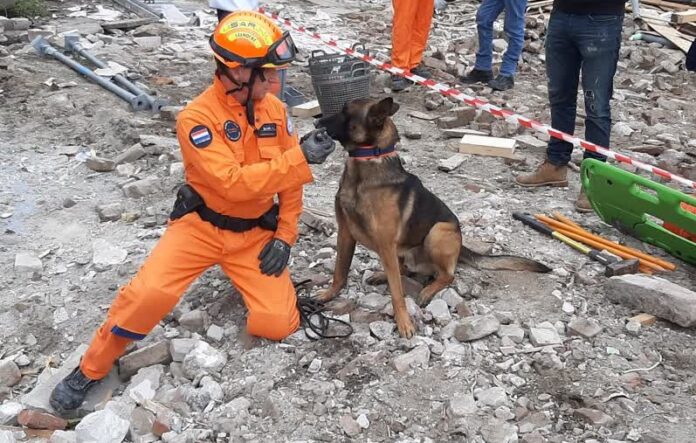 foto USAR.NL