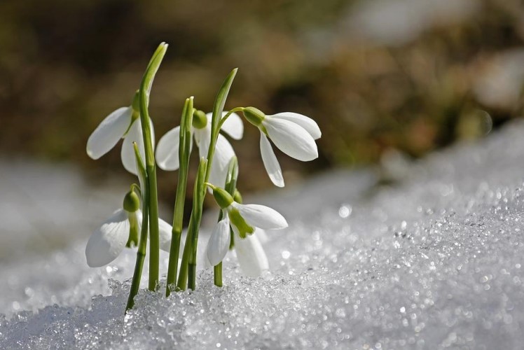 Struinen door het Alblasserbos op dinsdag 28 februari