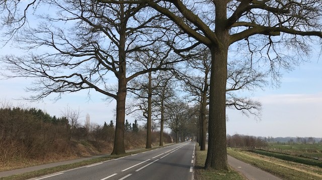 Van-80-naar-60