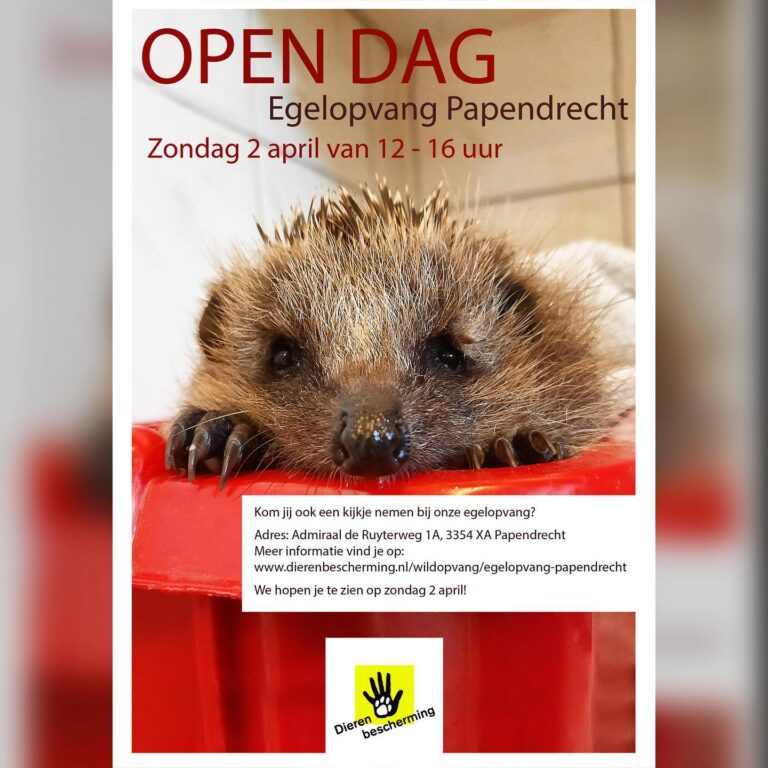 Open dag Egelopvang Papendrecht