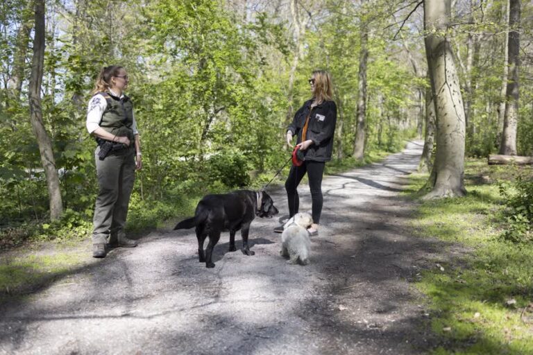 Aangelijnde honden worden in de Biesbosch beloond