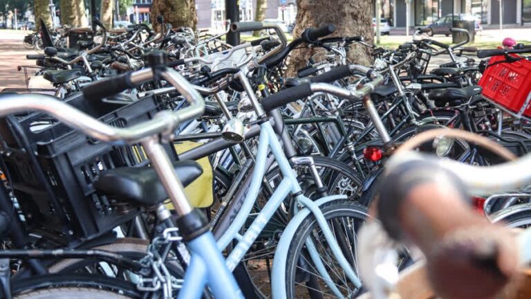 Honderden aangiftes fietsdiefstallen in regio