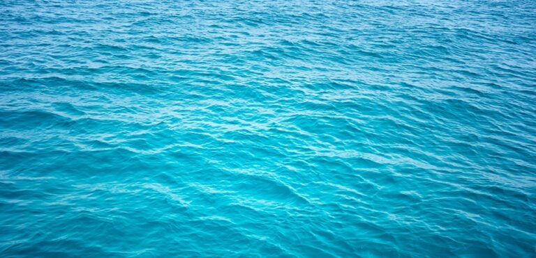 Auto rolt met kind van 1,5 het water in