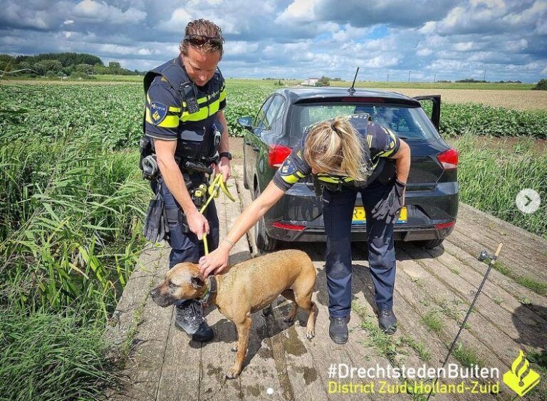 Achtervolging eindigt in Papendrecht